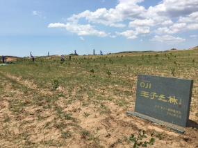 1560409428.jpg 2.jpg