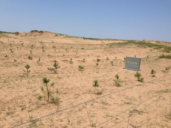 1560412260.png 072708-thumb-570x427-169.png