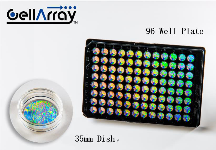 1666330026854223.jpg 1.jpg