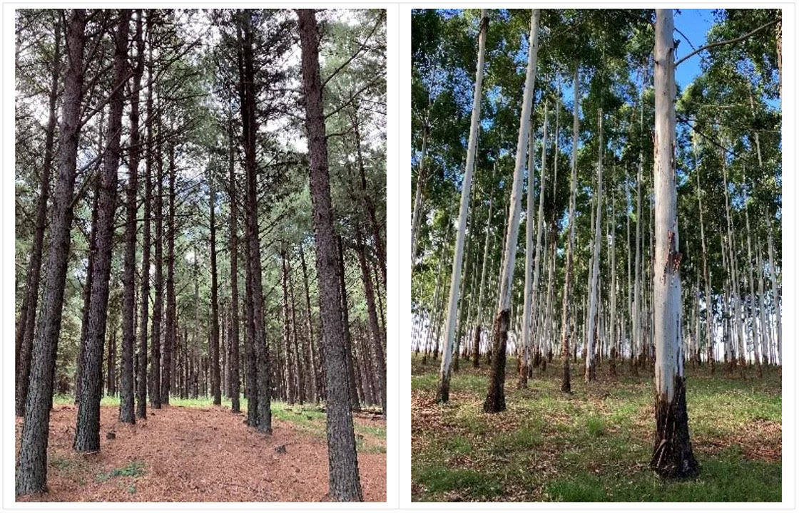 1716515091202464.jpg ΢ÐŽØÍ¼_20240524093851.jpg