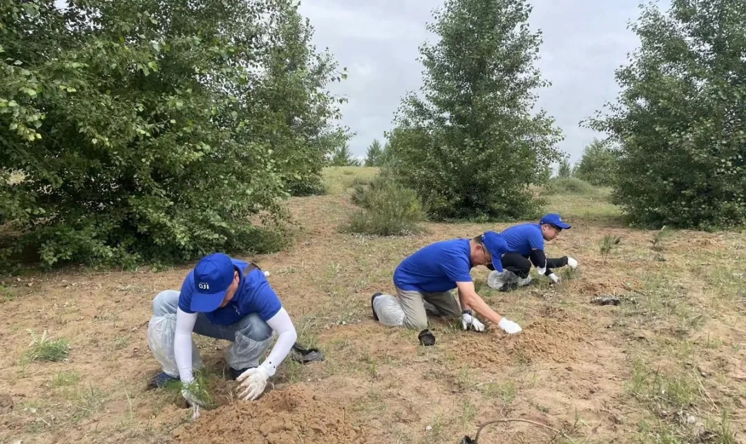 1719801233138885.jpg 640_wx_fmt=jpeg&from=appmsg&tp=webp&wxfrom=5&wx_lazy=1&wx_co=1.webp (5).jpg