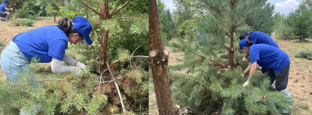 1719801553300490.jpg 3.jpg