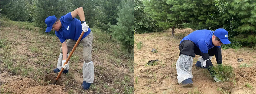 1719801720145146.jpg 0.jpg